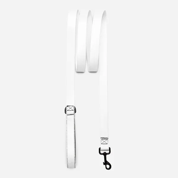 Pet Leash