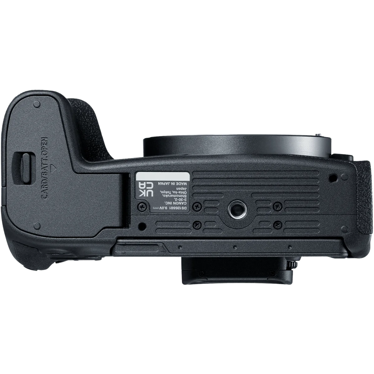 Cuerpo Canon EOS R8