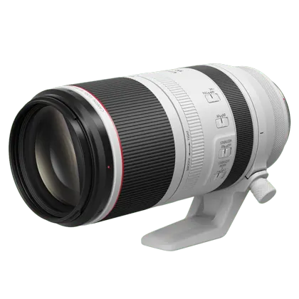 Canon RF 100-500mm f/4.5-7.1L IS USM Lens